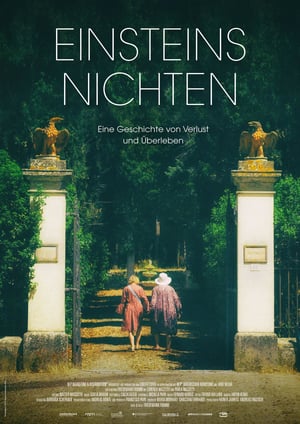 Einsteins Nichten (2017)