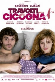 Travolti dalla cicogna (2011)