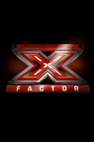 X Factor 13