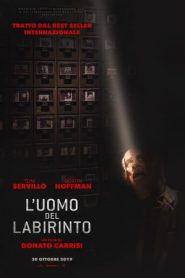 L’uomo del labirinto (2019)