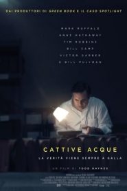 Cattive acque (2019)