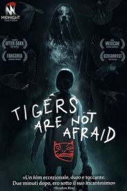 Tigers Are Not Afraid (2017)