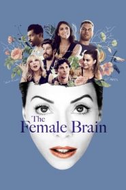 The Female Brain (2017)