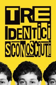 Tre identici sconosciuti (2018)