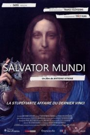 Salvator mundi: il mistero Da Vinci (2021)