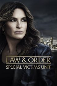 Law & Order – Unità vittime speciali 26