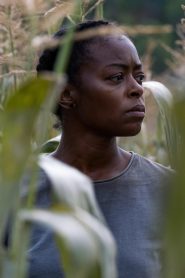 40 Acres (2025)
