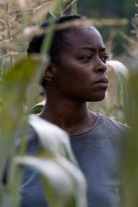 40 Acres (2025)
