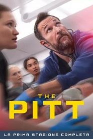 The Pitt 1