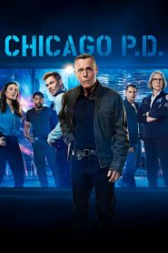 Chicago P.D. 13