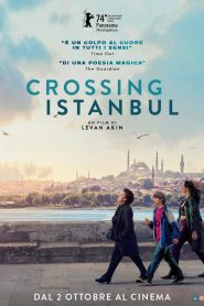 Crossing Istanbul (2024)