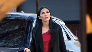 The Cleaning Lady 4×5